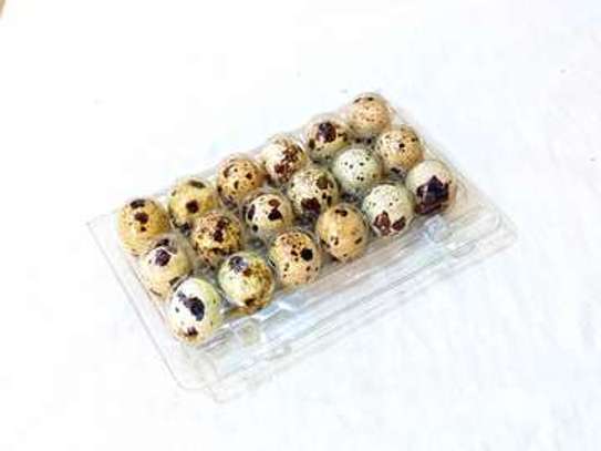 Viande et œufs de caille image 1