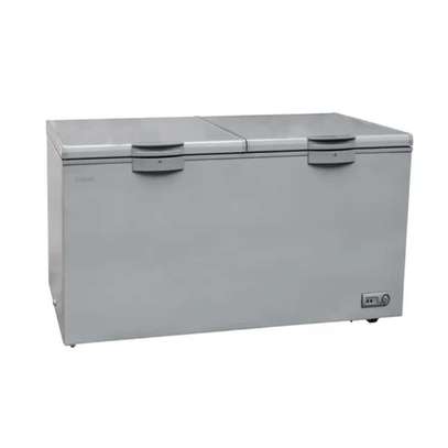 CONGÉLATEUR 400LITRES FINIX HORIZONTAL SILVER image 2