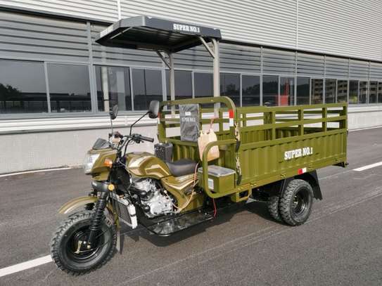 Tricycles 5 roues image 3