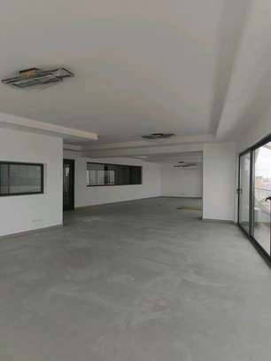 Penthouse F5 neuf image 4