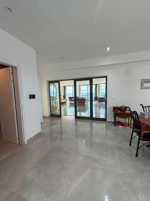 Magnifique Penthouse à louer image 8