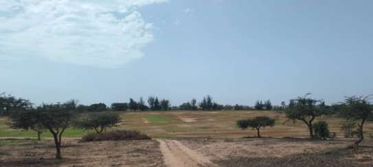 Terrain à Mboro par hectares image 2