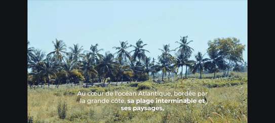 CITES DES SENEGALAIS DE L'EXTERIEUR MBORO/DIAS image 5