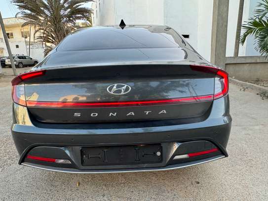 Sonata image 4