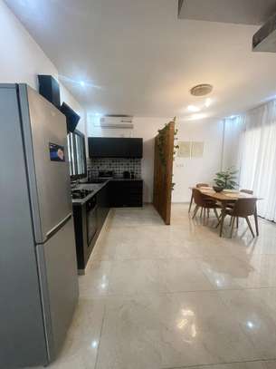 Magnifique duplex F3 meublé image 8