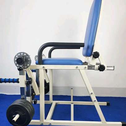 Chaise quadriceps image 4