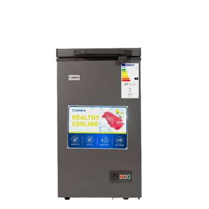 CONGÉLATEUR 150LITRES DESKA HORIZONTAL GRIS FRZ135DK image 2