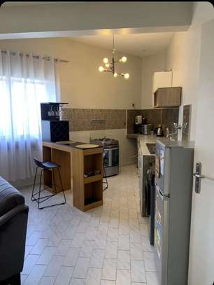 Studio Meublé à louer au Plateau image 4