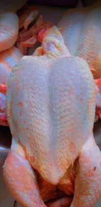 POULET image 1