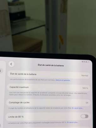 iPad Pro M4 13pouces 256G image 3