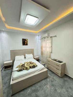 Magnifique appartement de type F3 à louer image 4