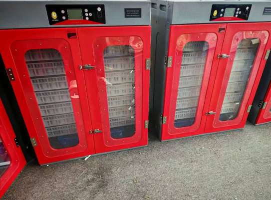 COUVEUSE AUTOMATIQUE (Capacité 450 œufs et 1000 œufs) image 3