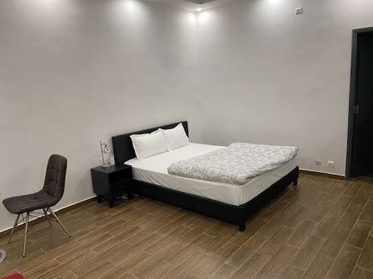 Studio meublé à louer au Front de terre image 7