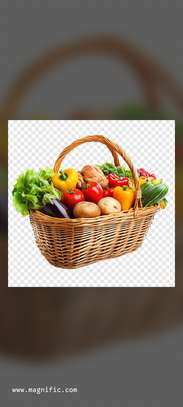 Notto agro-fournisseur image 3