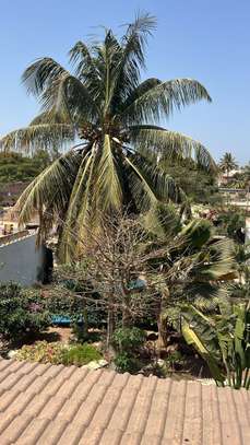 VILLA À VENDRE À 400M DE LA PLAGE / SALY image 5