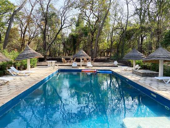 Africa Safari, Campement de Mako «Chez Madame» image 2