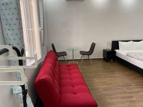 Studio meublé à louer au Front de terre image 10