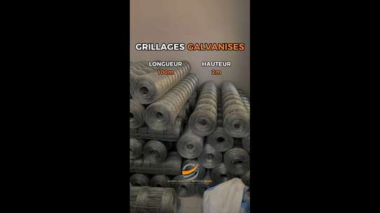 Rouleaux de grillage galvanisé 2m x 100m image 2