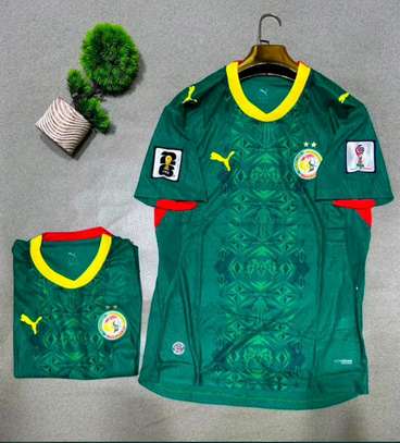 Puma Maillot Sénégal 2024 Blanc Col V Vert image 2