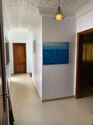 Appartement Mermoz Pyrotechnique image 8
