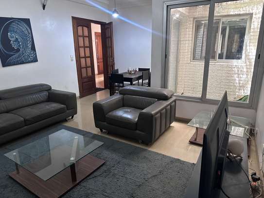 Appartement Mermoz Pyrotechnique image 11