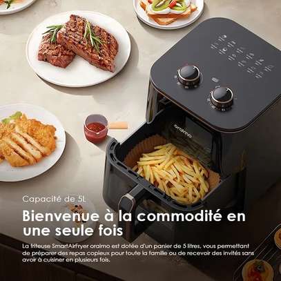 Friteuse double professionnelle noire design cuivré image 2