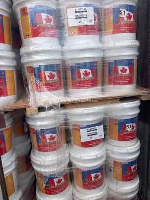 Promotion peinture canadienne satine image 2