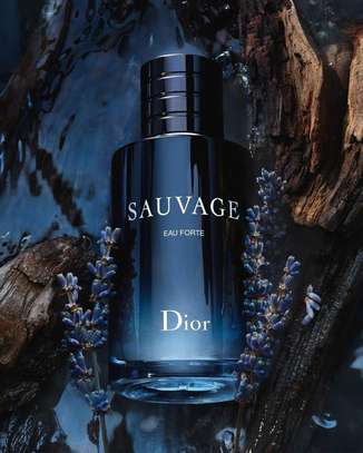 Parfums marque image 4
