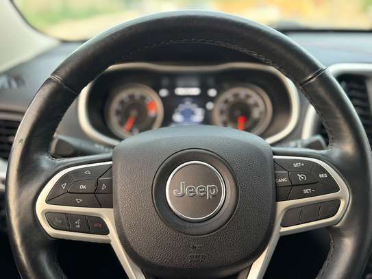 Jeep Cherokee trail walk 2017 image 14