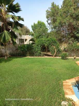 DAKAR ALMADIES : Terrain à vendre 980 m2 – TF image 3