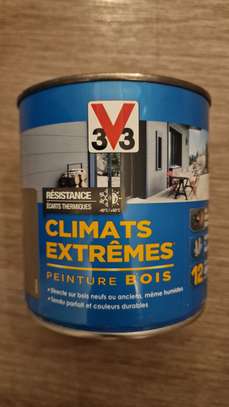 Des differents types de peinture image 4