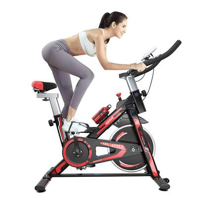 Vélo D'intérieur Vélo Stationnaire avec Écran LCD image 11