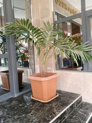 À louer, appartement studio meublé luxe image 8