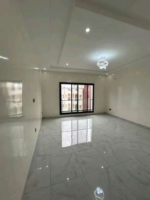 A louer au mariste 2 des appartements F3 F2 jamais habiter image 5