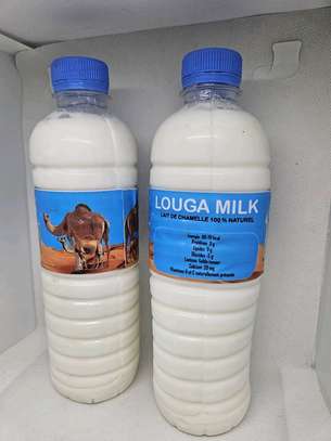Lait de Chamelle Trésor du désert image 6