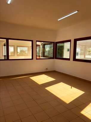 grande villa image 14