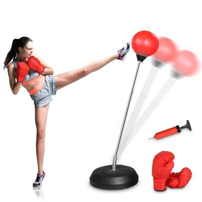 Punching-ball, pour adultes et adolescents image 6