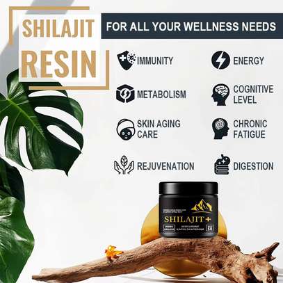 SHILAJIT RESIN image 4
