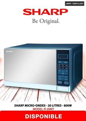 Micro-ondes Roch 20L image 3