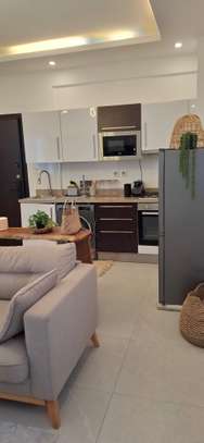 APPARTEMENT F2 MEUBLÉ, ÉQUIPÉ ET SÉCURISÉ A LOUER image 3