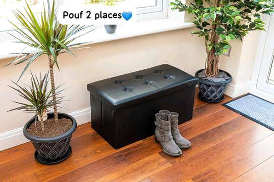 Peuf de rangement 2place image 2
