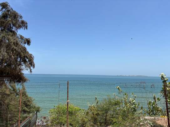 APPARTEMENT 300 M2 HAUT PLATEAU image 6