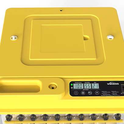 🐣 COUVEUSES AUTOMATIQUES WONEGG  ! 🐣 image 5