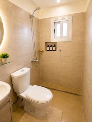 Appartement meublé chic et lumineux aux Mamelles image 12