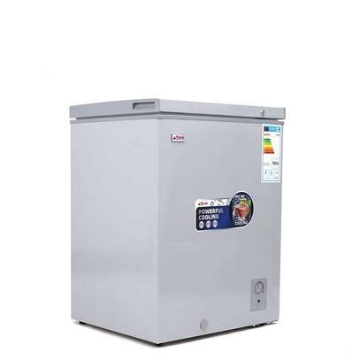 CONGELATEUR 200LITRES ASTECH HORIZONTAL GRIS CH195W image 2