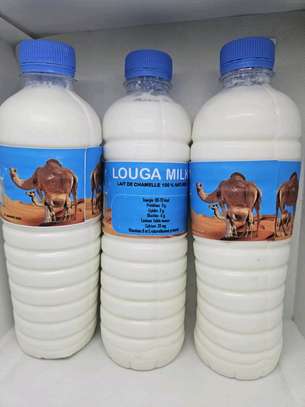 Lait de Chamelle Trésor du désert image 5