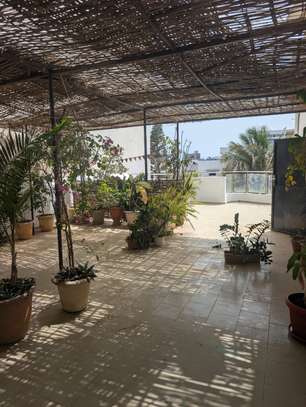 Appartement penthouse avec grande terrasse non meublé image 3