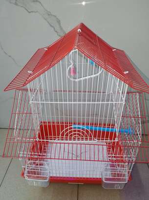 Cage oiseaux image 2