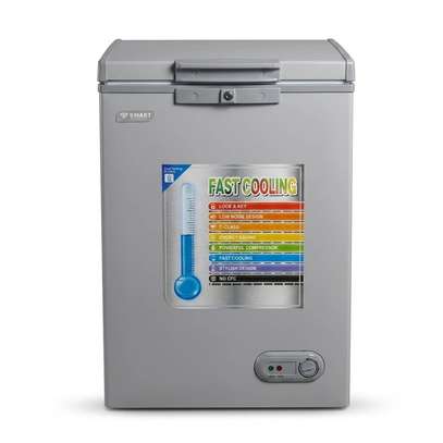 CONGELATEUR 102LITRES SMART TECHNOLOGY HORIZONTAL image 2