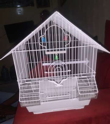 Aliment de PIGEON et VOLAILLE image 2